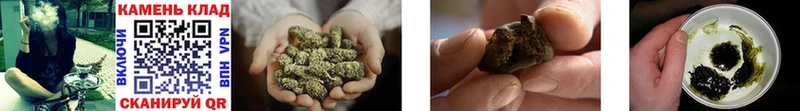 Гашиш Cannabis Кизилюрт