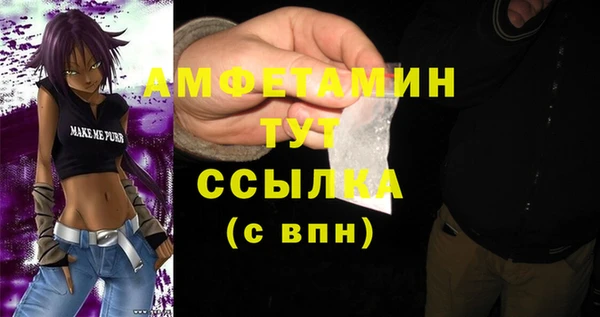 меф Пересвет