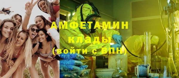 меф Пересвет