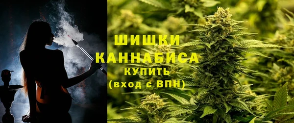 меф Пересвет