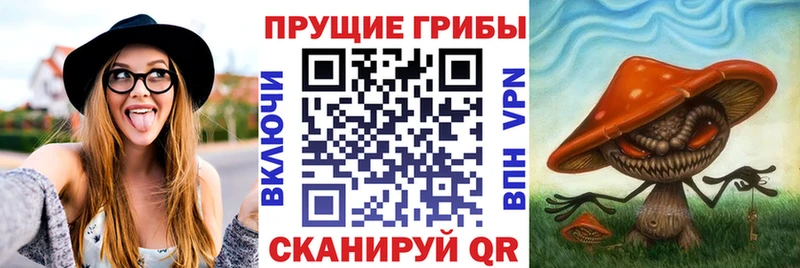 Псилоцибиновые грибы прущие грибы  кракен как зайти  Кизилюрт 