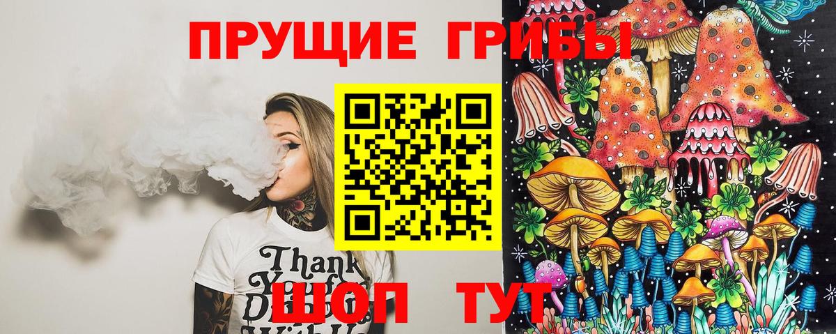 Кизилюрт  Псилоцибиновые грибы Magic Shrooms  Вход с VPN 