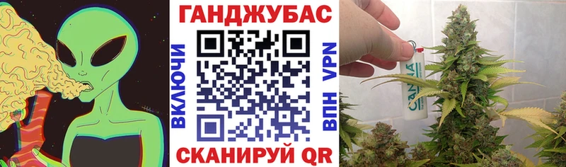 МАРИХУАНА сатива  МЕГА ТОР  Кизилюрт 